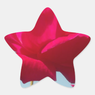 Adesivo Estrela Seja meu feliz Namorados sob o céu azul