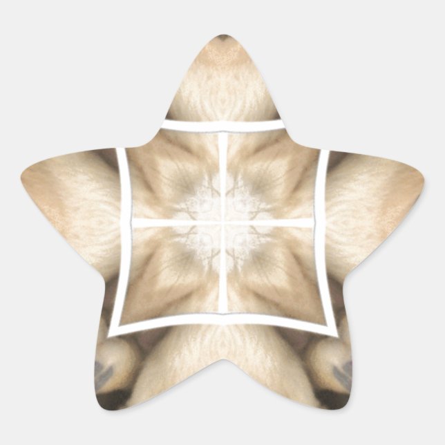 Adesivo Estrela Serengeti Splendor: Oculto de Animais Vibrantes (Frente)