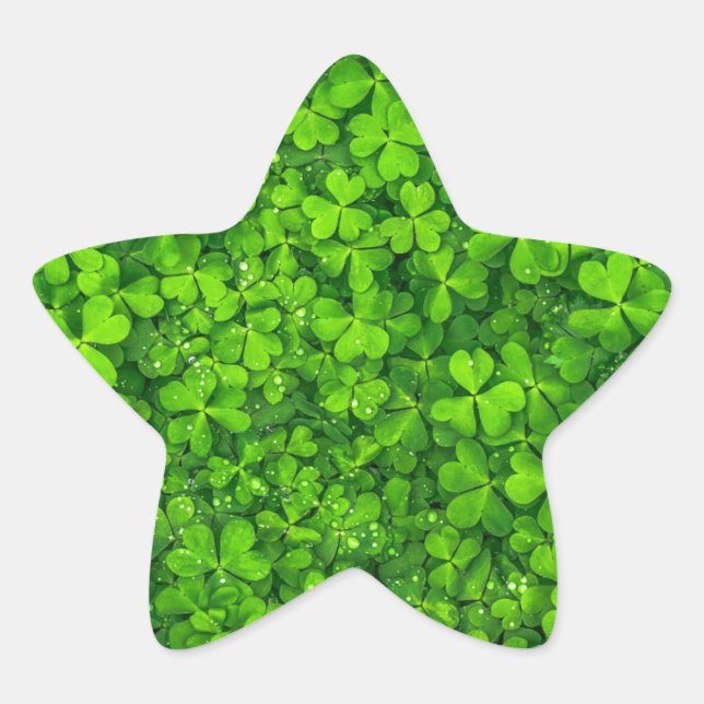 Adesivo Estrela Shamrock Clovers Green Irish Símbolo Irlanda (Frente)