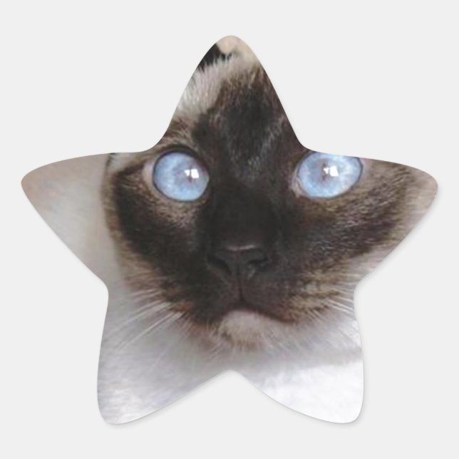 ADESIVO ESTRELA SIAMESE BEAUTY (Frente)