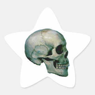 Adesivo Estrela Skull a partir do perfil