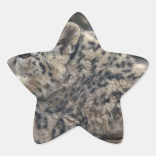 Adesivo Estrela Snow Lepard