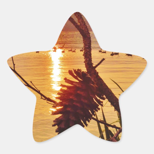 Adesivo Estrela Sol do Lago Pinecone (Frente)
