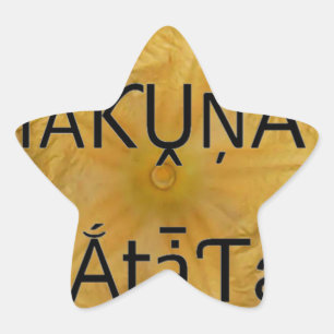 Adesivo Estrela Sou uma estrela dentro.