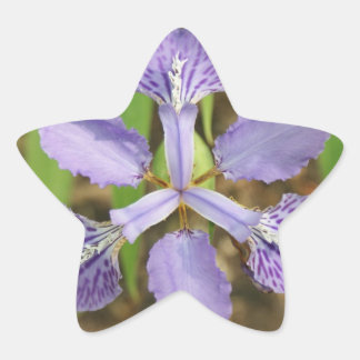 Adesivo Estrela Star Iris Stickers