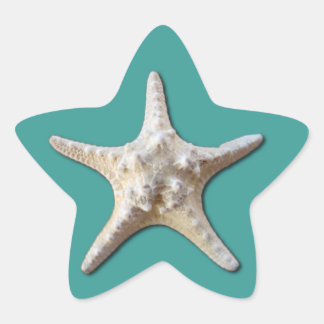Adesivo Estrela Starfish Sticker