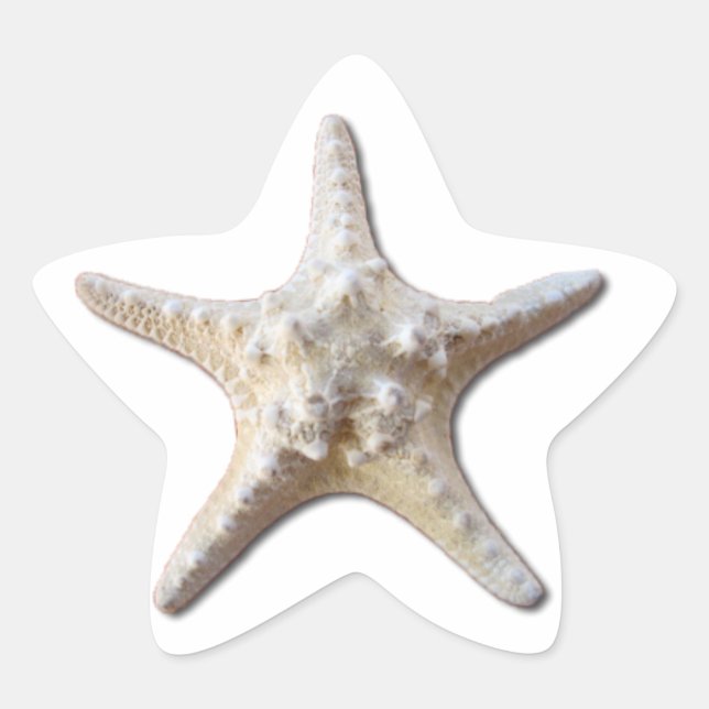 Adesivo Estrela Starfish STicker - branco (Frente)