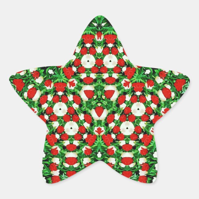 Adesivo Estrela Sticker (Frente)