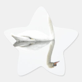 Adesivo Estrela Swan