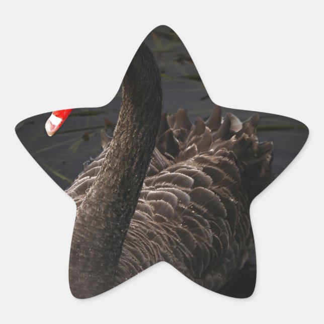 Adesivo Estrela Swan Negro (Frente)