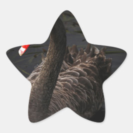 Adesivo Estrela Swan Negro