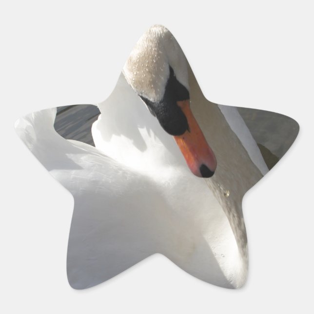 Adesivo Estrela Swan Posing (Frente)