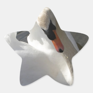 Adesivo Estrela Swan Posing