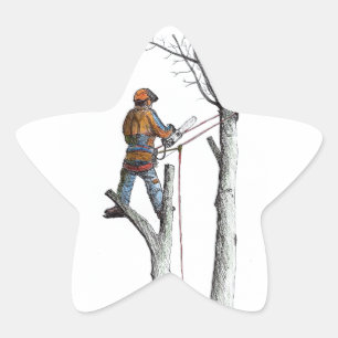 Adesivo Estrela Sycamore e 020t