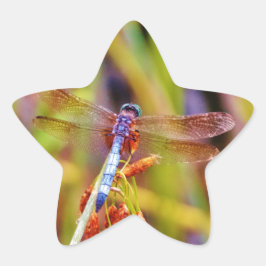 Adesivo Estrela Teal Dragonfly na borda