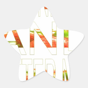 Adesivo Estrela Tenha um belo dia