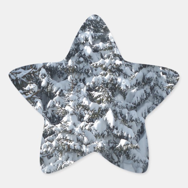 Adesivo Estrela Textura de árvore de abertura de neve (Frente)