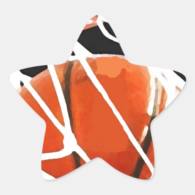 Adesivo Estrela Trabalho de arte de basquetebol (Frente)