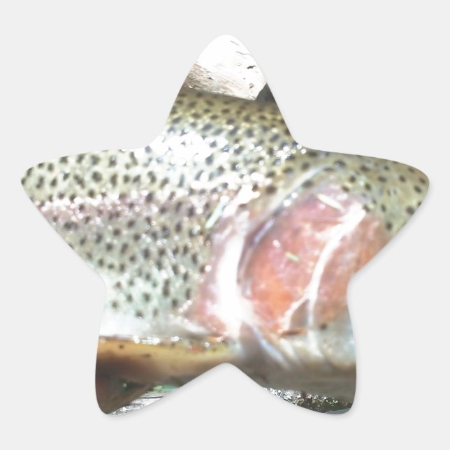 Adesivo Estrela Truta arco-íris (Frente)