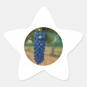 Adesivo Estrela Um aglomerado de Uvas Roxas Frescas