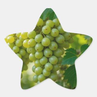 Adesivo Estrela Uva Verde Fresca