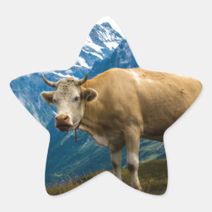 Adesivo Estrela Vaca Grindelwald - Alpes Berneses - Suiça
