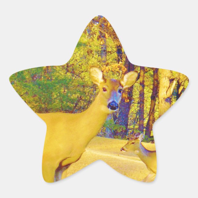 Adesivo Estrela Veado Colorido de Mama com azul claro (Frente)