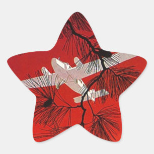 Adesivo Estrela Vermelho plano do FW do suporte do avião das