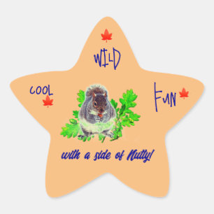 Adesivo Estrela Vinheta de diversão selvagem legal