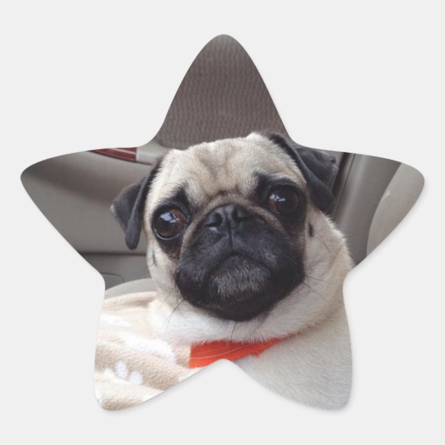 Adesivo Estrela Vinhetas (Frente)