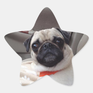 Adesivo Estrela Vinhetas