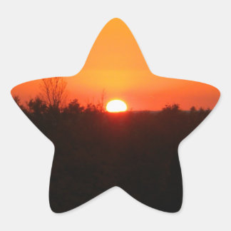 Adesivo Estrela Vinhetas