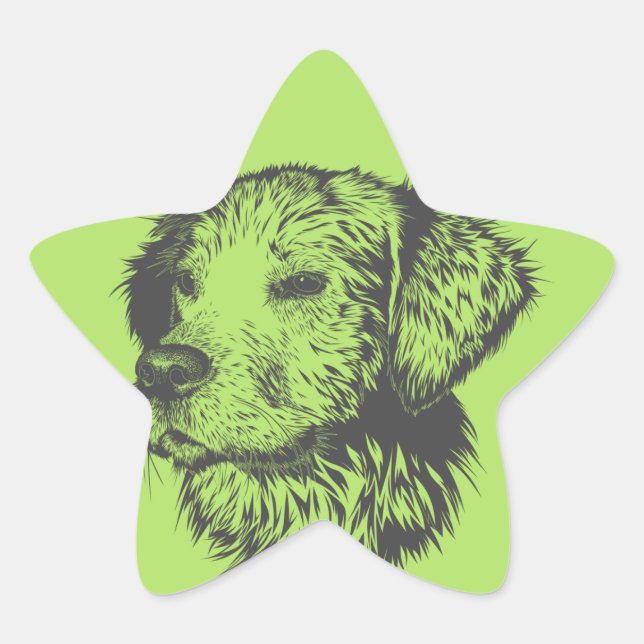 Adesivo Estrela Vinhetas para cães (Frente)