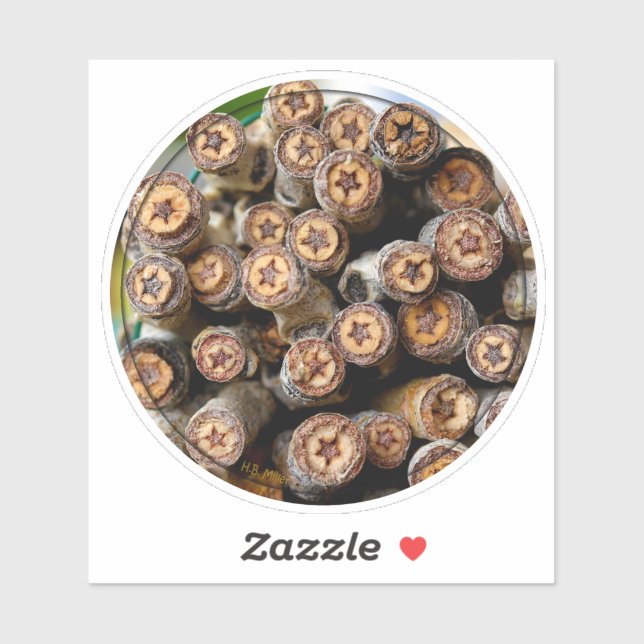 Adesivo Estrelas das Árvores de Algodão ao longo do Rio Gr (Folha)