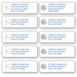 Adesivo Estrelas do Mar do Dólar de areia Manchas Manipula