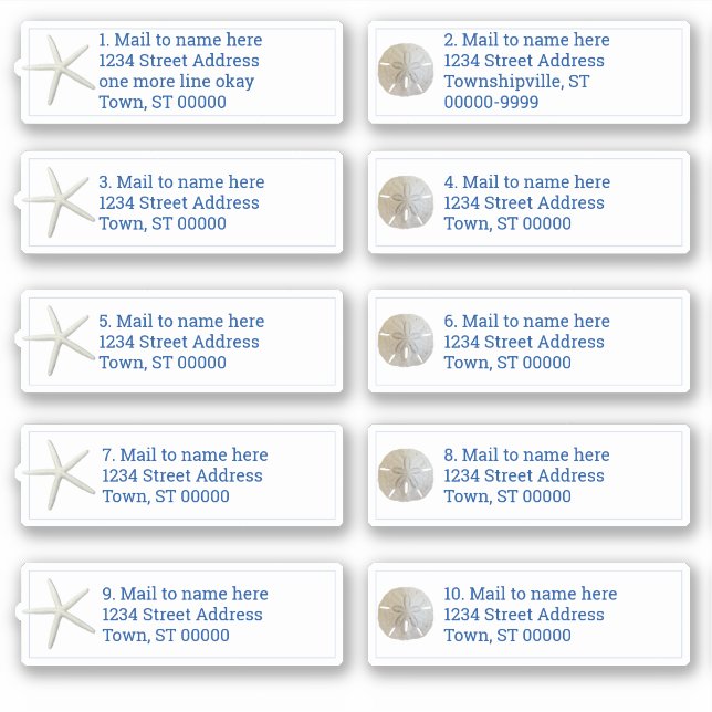 Adesivo Estrelas do Mar do Dólar de areia Manchas Manipula (Frente)