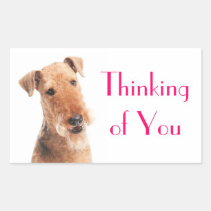 Adesivo / Etiqueta de Cachorrinho Airedale Pensand