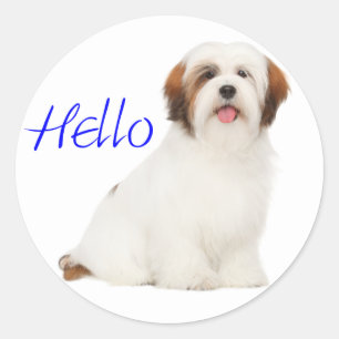 Adesivo / Etiqueta de Cachorrinho Lhasa Apso