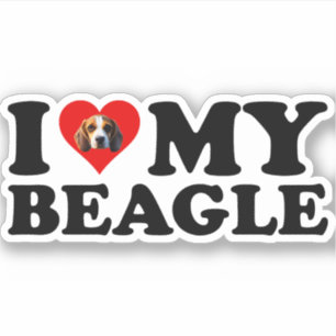 Adesivo Eu Amo A Minha Beagle