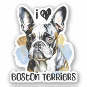 Adesivo Eu Amo Boston Terriers
