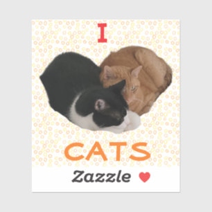 Adesivo Eu Amo Gatos com Coração de Gato