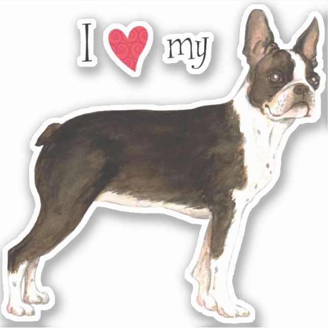 Adesivo Eu amo meu Boston Terrier Vinyl Sticker (Frente)