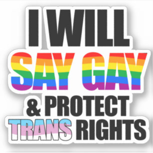 Adesivo Eu direi gay e protegerei os direitos trans