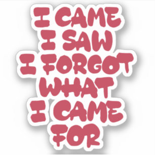 Adesivo Eu vim, eu vi, esqueci o que eu vim