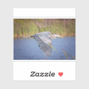 Adesivo Excelente Blue Heron em voo