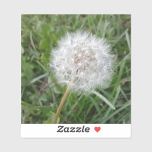Adesivo Faça um Desejo