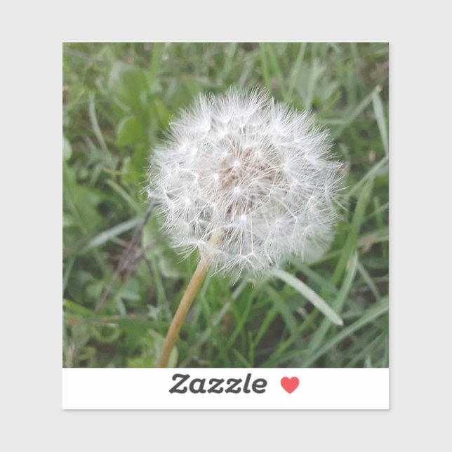 Adesivo Faça um desejo (Folha)