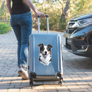 Adesivo Face de Border Collie