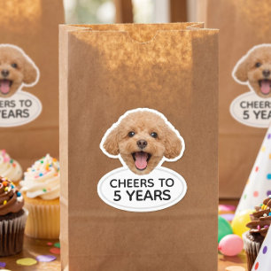 Adesivo Favoritos de festa de aniversário de animal com ro