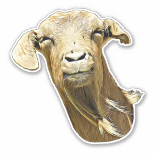 Adesivo Fazenda bobo De Cabra  Arte Animal 